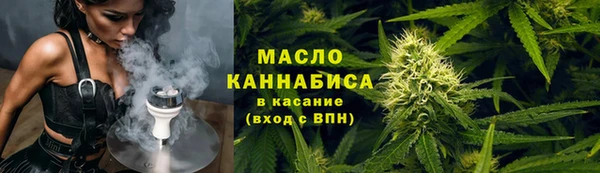 молекула духа Вяземский