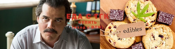 молекула духа Вяземский