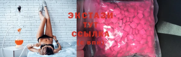 молекула духа Вяземский