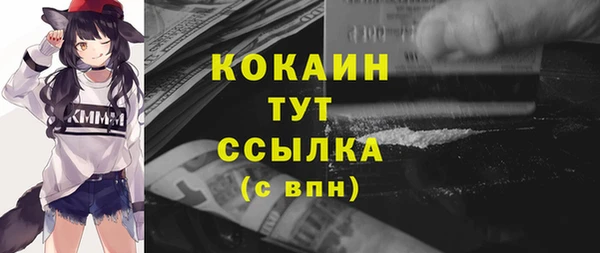 стаф Верея