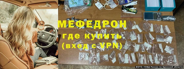 молекула духа Вяземский