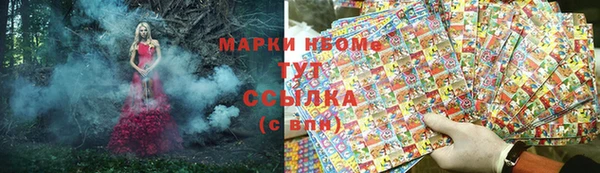 молекула духа Вяземский