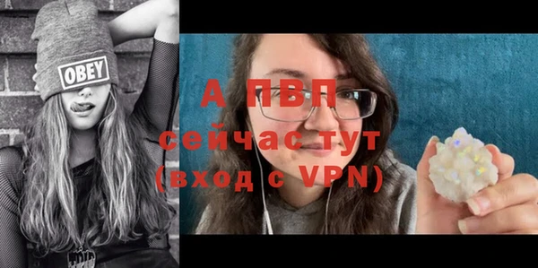гидра Волосово