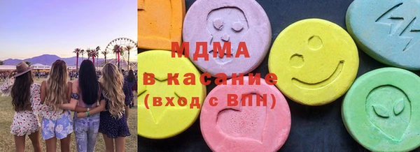 молекула духа Вяземский