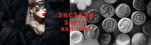 молекула духа Вяземский