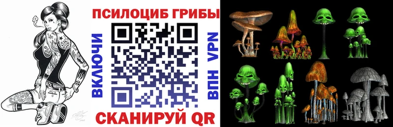 OMG tor  Дмитров  Псилоцибиновые грибы прущие грибы 